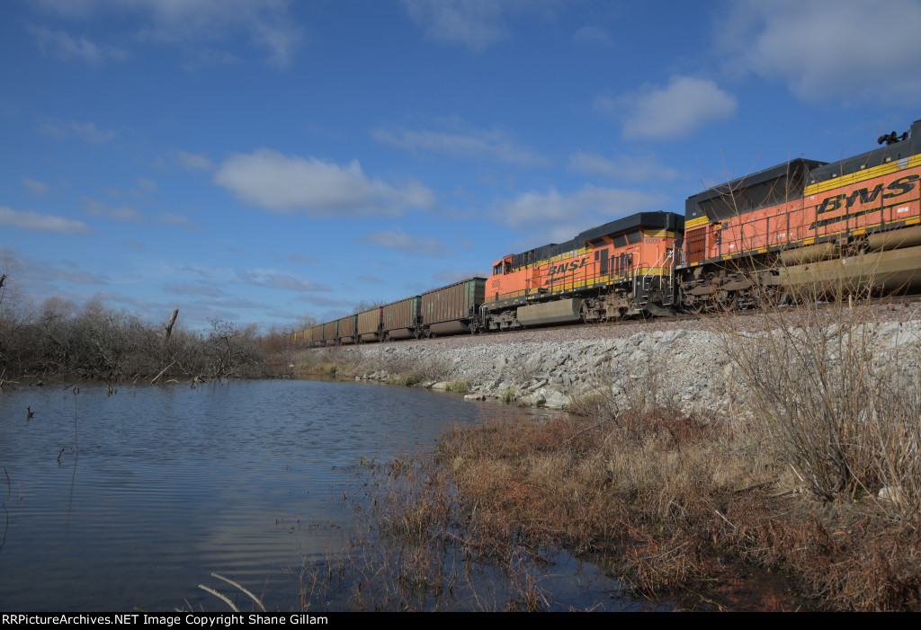 BNSF 6005